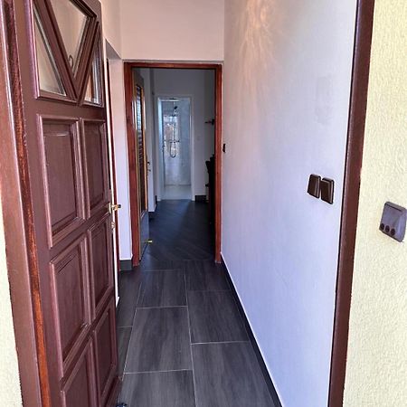 Apartman Nikola Salatic Екстер'єр фото